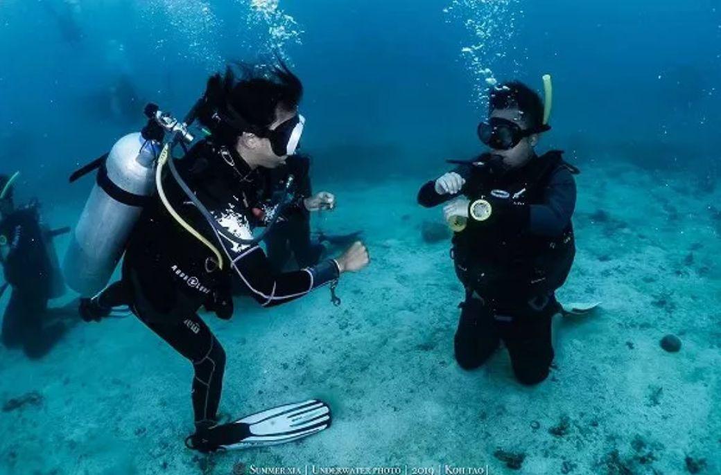 狐狸的旅程